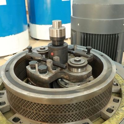 Лепешка биотоплива багассы альфальфы пластиковая делая машину 5000kg/h 2mm