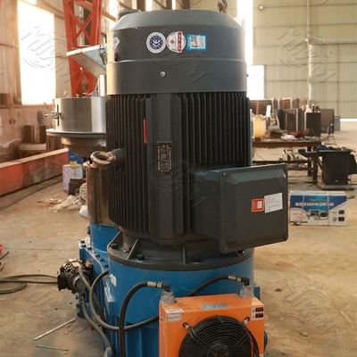 Лепешка биотоплива багассы альфальфы пластиковая делая машину 5000kg/h 2mm