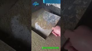 Завод по производству комбикормов для креветок | Демонстрация производства готовой продукции на заводе # машина для производства кормовых гранул